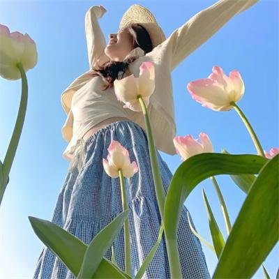 秋田犬蓬夫